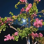 度假居 Ble 1br Vacation With Private Terrace 干尼亞