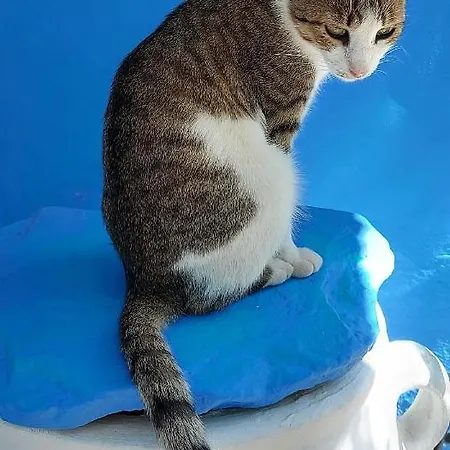 Ble 1br Vacation With Private Terrace