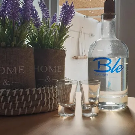 Ble 1br Vacation With Private Terrace 別荘 ハニア