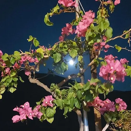 Σπίτι διακοπών Ble 1br Vacation With Private Terrace Χανιά