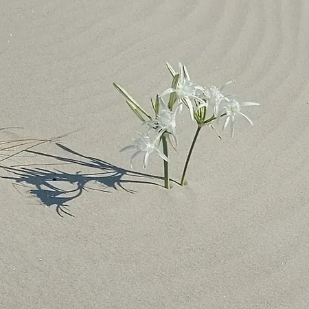 Ble 1br Vacation With Private Terrace 別荘