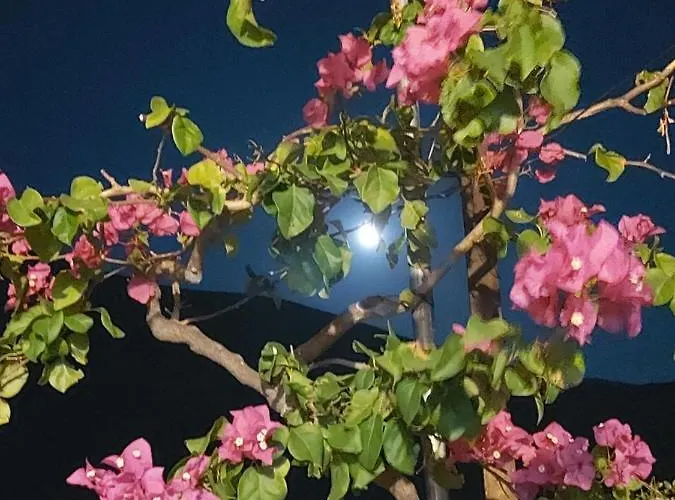 Дом отдыха Ble 1br Vacation With Private Terrace Ханья