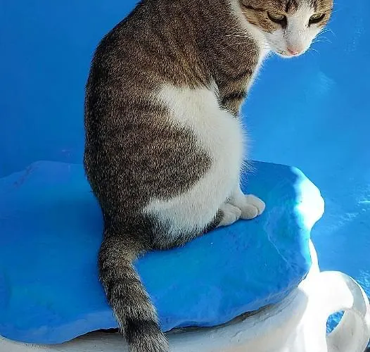 Ble 1br Vacation With Private Terrace