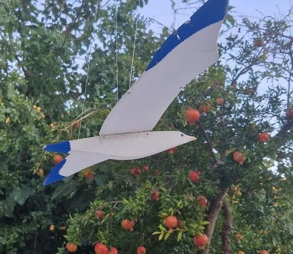 בית נופש Ble 1br Vacation With Private Terrace חאניה